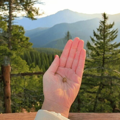 navrh-bez-nazvu51-1-min-1 (1)