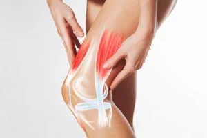 shutterstock_2269450533-300x200