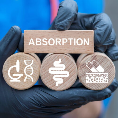 shutterstock_2601608097 (1)